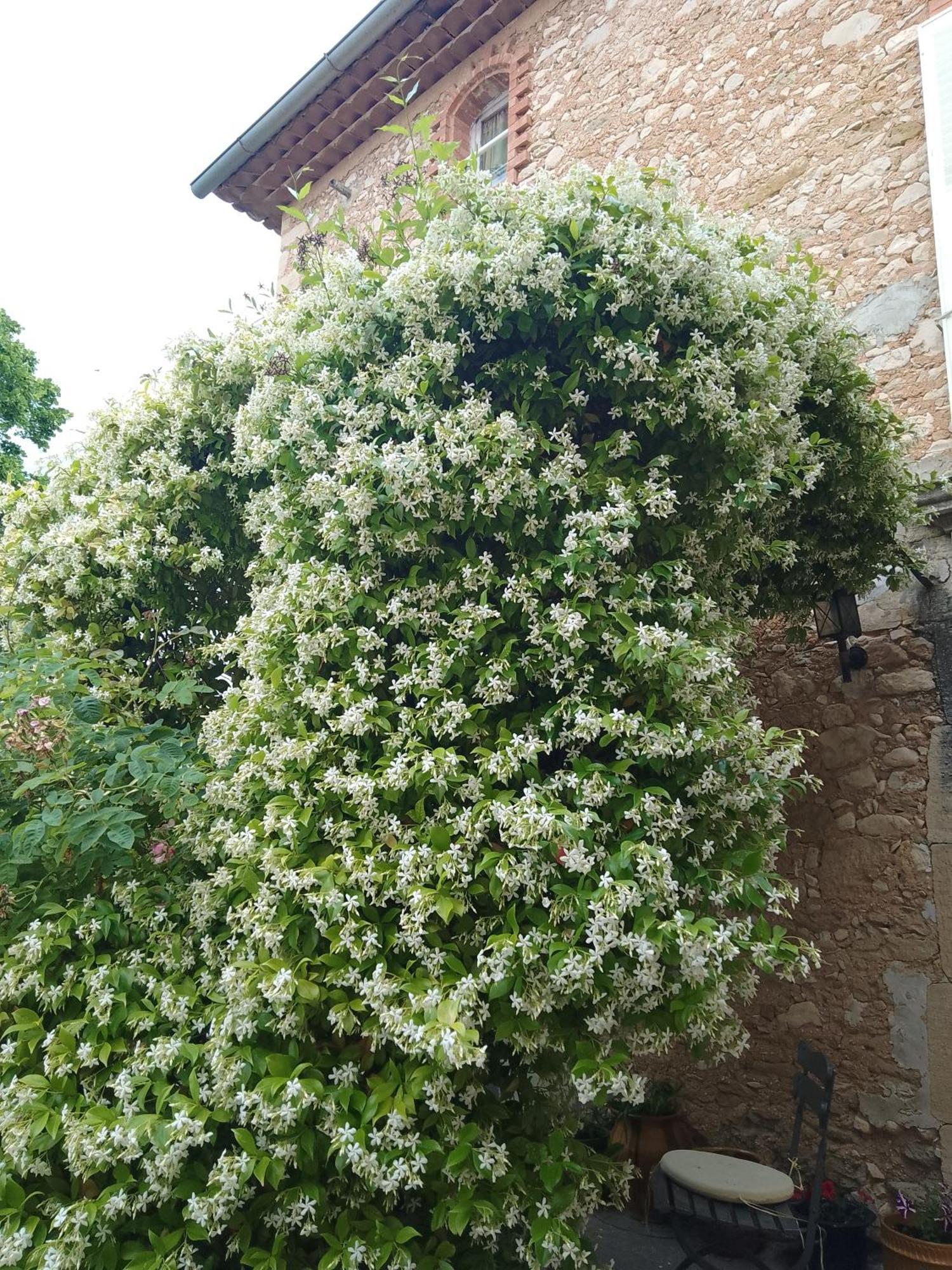 Les Gites Du Mont Ventoux Bedoin Ngoại thất bức ảnh