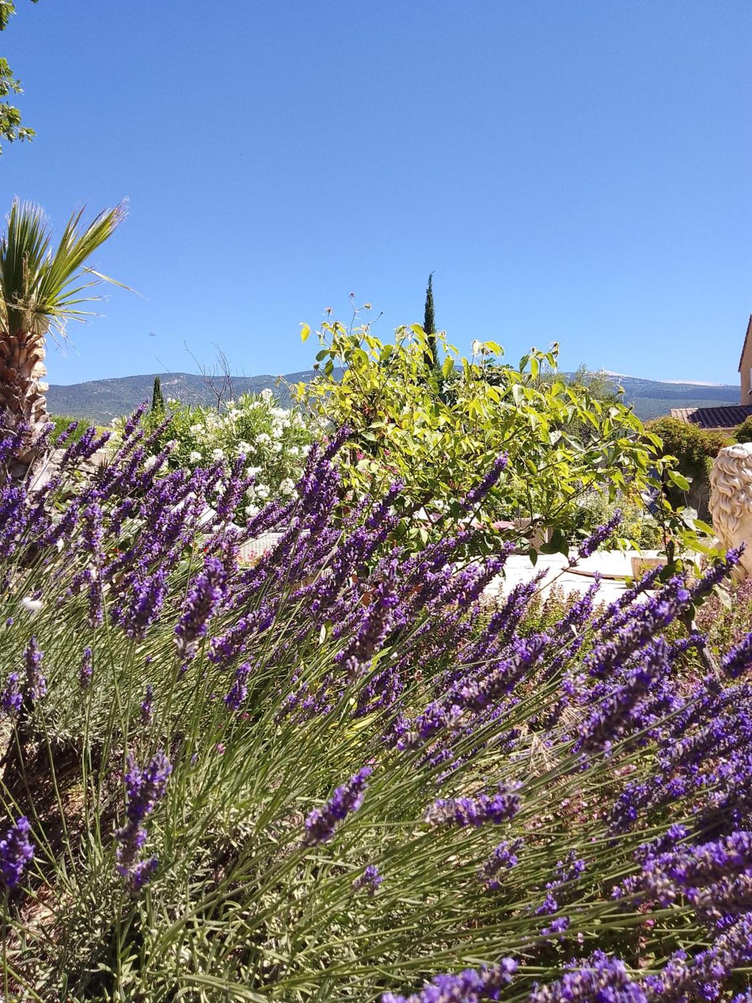 Les Gites Du Mont Ventoux Bedoin Ngoại thất bức ảnh