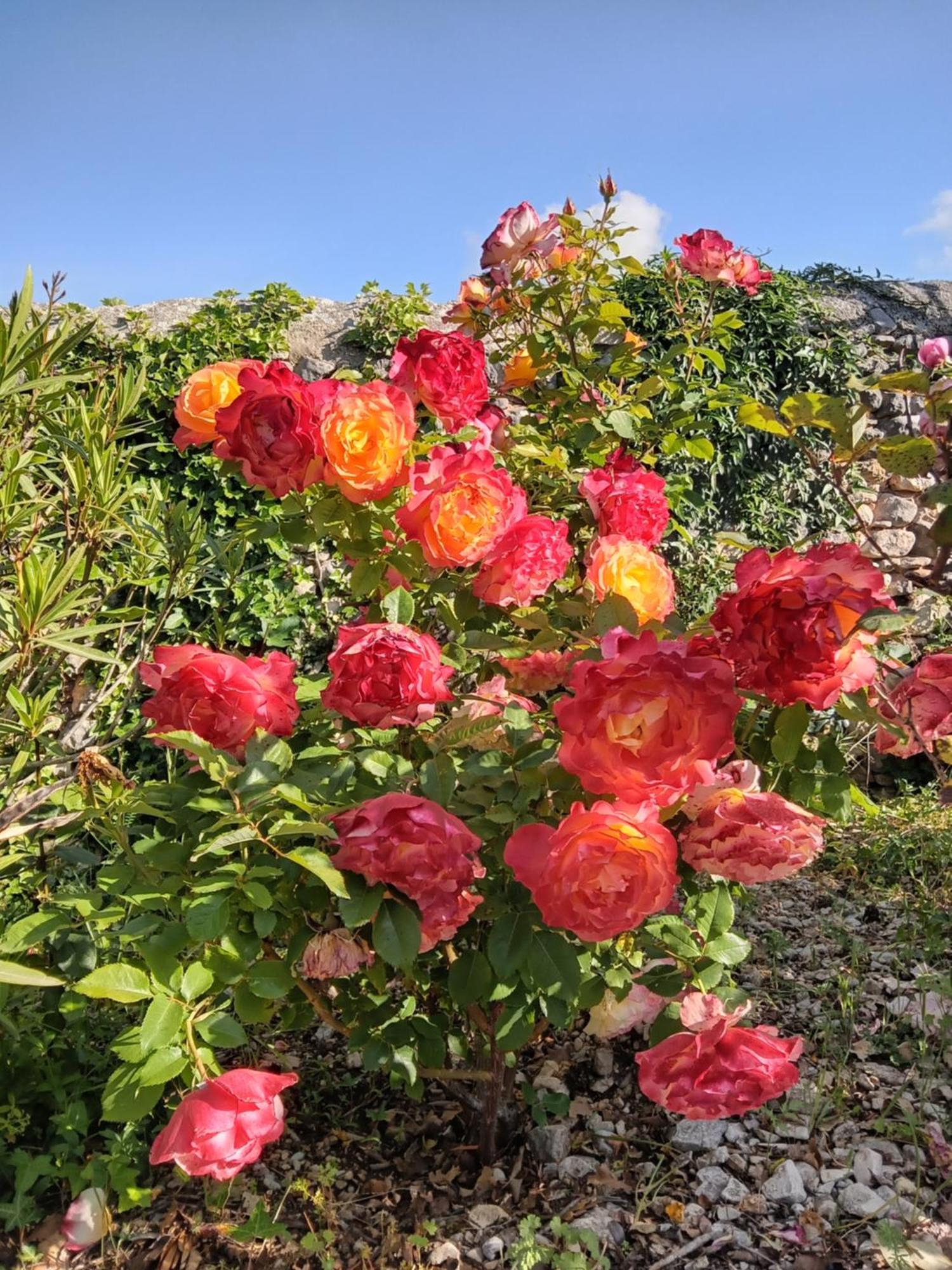 Les Gites Du Mont Ventoux Bedoin Ngoại thất bức ảnh